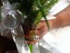 Carrollyn's Ring